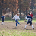 IMG 0082